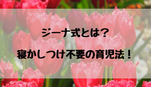 ジーナ式とは？寝かしつけが不要になる育児法！