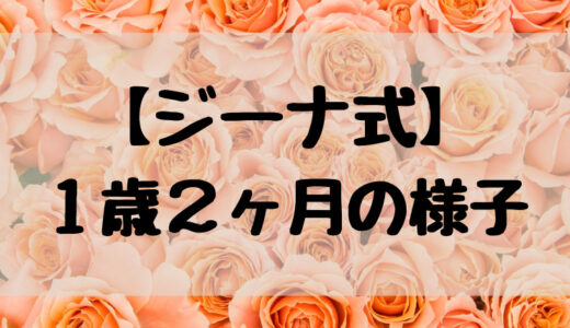 【ジーナ式】１歳２ヶ月の様子