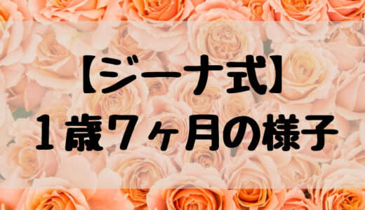 【ジーナ式トドラー】１歳７ヶ月の様子